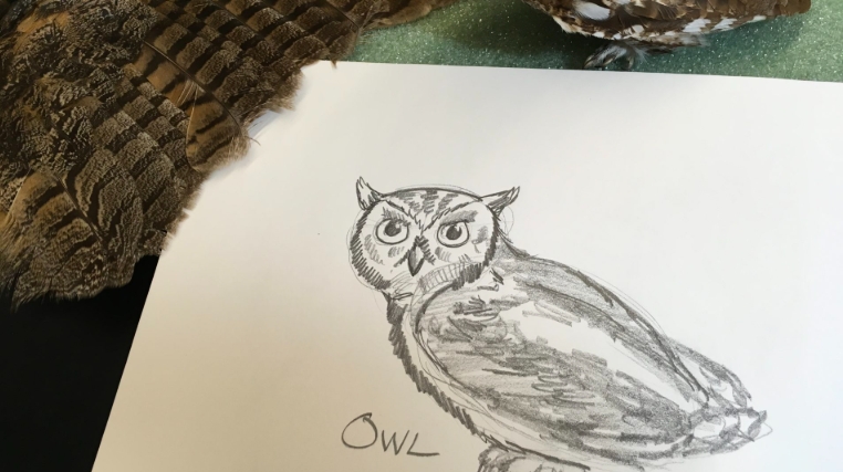 sketching pics
