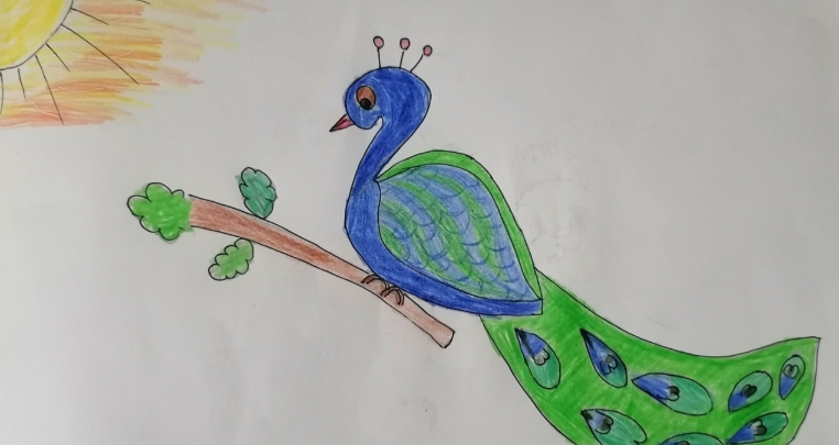 drawing for kindergartners