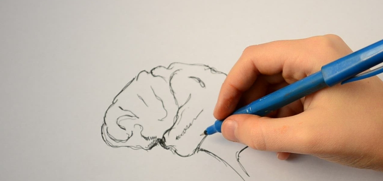 art drawing videos