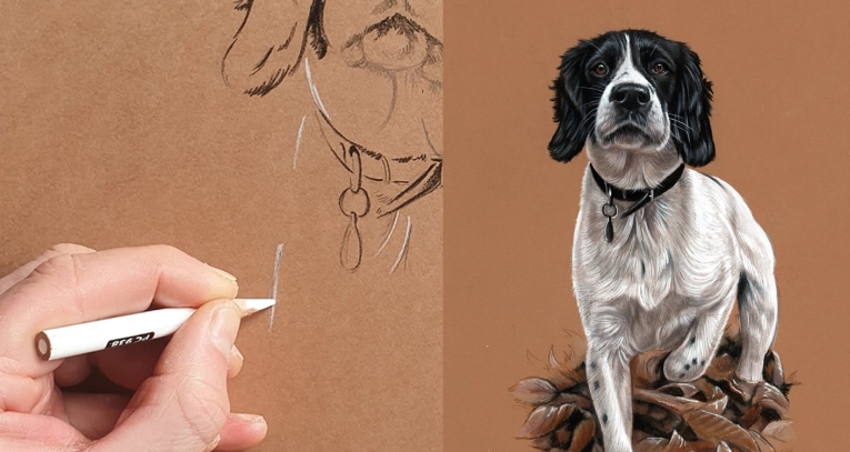 dog pictures drawings