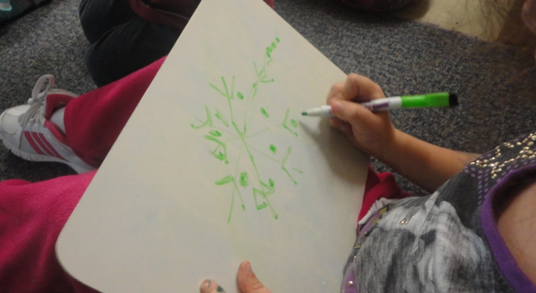 guided drawing lessons