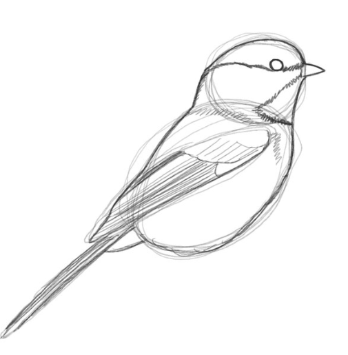 now to draw