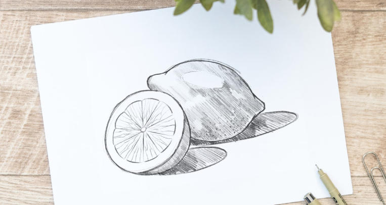 step by step drawing easy