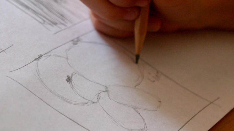 beginner drawing lessons for kids