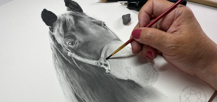 pics of drawn horses