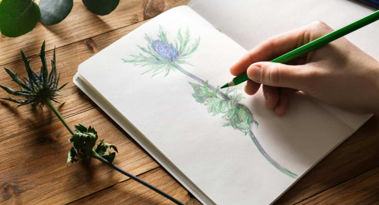 art ideas drawing