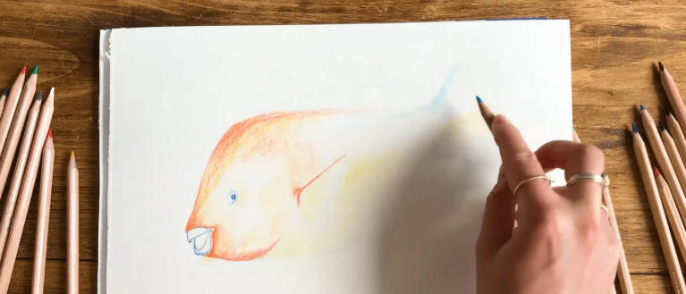 how to draw a fish for beginners