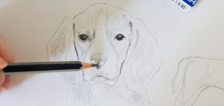 cute dog pictures to draw