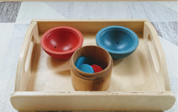Montessori Sorting Activities for Kids