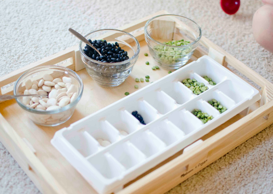 Montessori Transferring Activities for Toddlers
