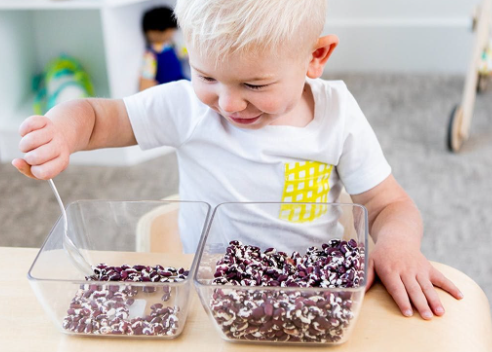 Montessori Activities Using Household Items