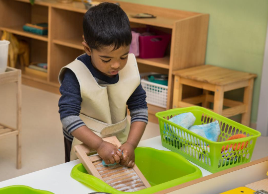 Montessori Practical Life Activities for Toddlers