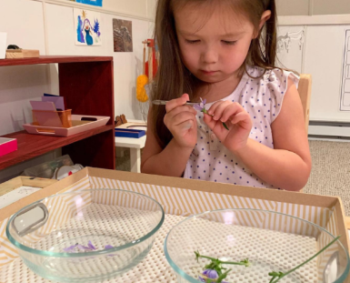 Montessori Spring Activities for Preschoolers