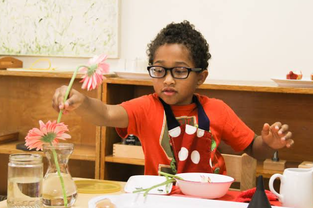 Montessori Activities for Concentration