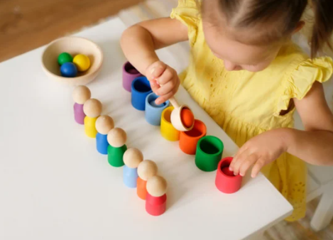 Montessori Visual Discrimination Activities