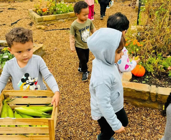 Montessori Nature Activities for Kids