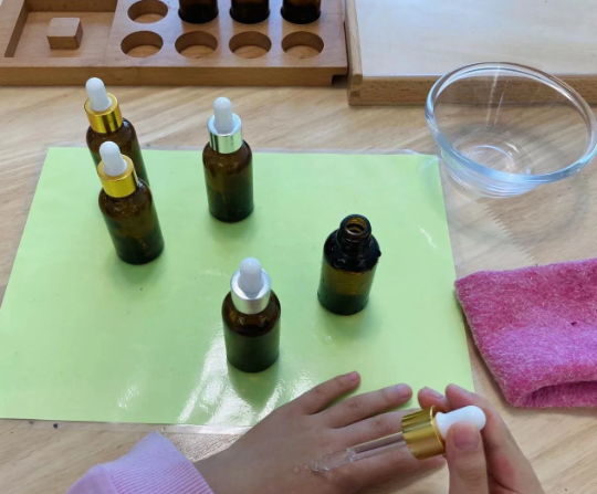 Montessori Taste Activities for Preschoolers