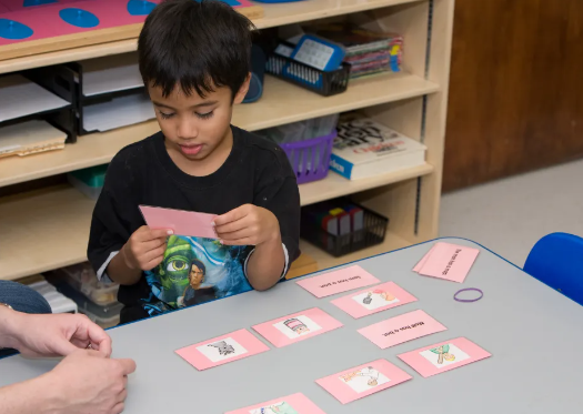 Montessori Reading Activities for Kids