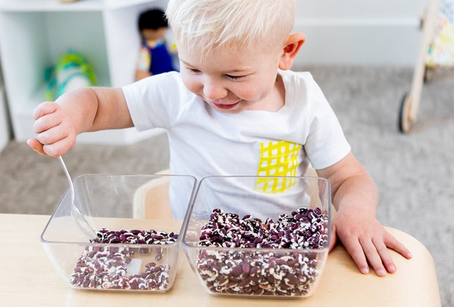 Montessori Activities with Beans