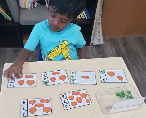 Montessori Activities with Nature Materials