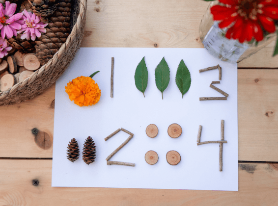 Montessori Activities for Problem Solving